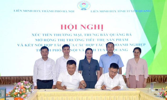Các hợp tác xã Tuyên Quang - Hà Nội ký kết tiêu thụ sản phẩm nông sản