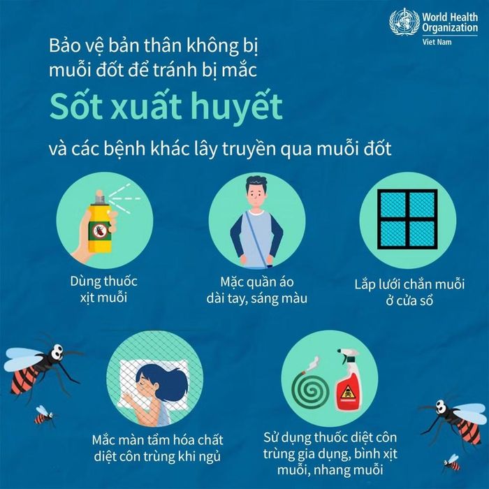 Một tài liệu tuyên truyền phòng chống bệnh sốt xuất huyết.