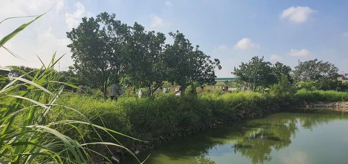 Cán bộ Ban Dự án đo đạc công tác GPMB tại thực địa.