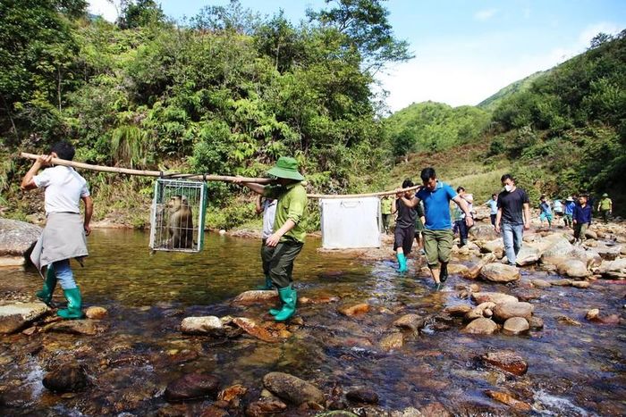 Các cá thể động vật hoang dã được chăm sóc tốt, bảo đảm điều kiện để tái thả vào tự nhiên. Ảnh: THSP