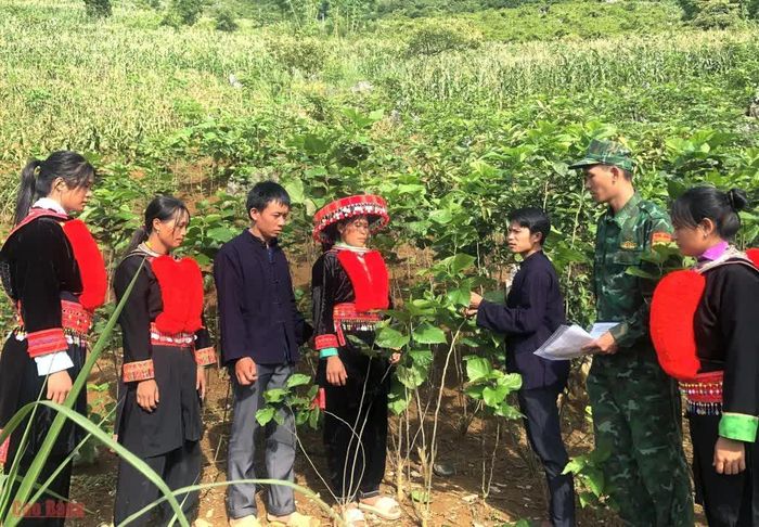 Anh Chảo A Nảy (thứ 3 từ phải sang) hướng dẫn bà con kỹ thuật trồng dâu nuôi tằm, mở hướng phát triển sinh kế trên vùng núi đá.