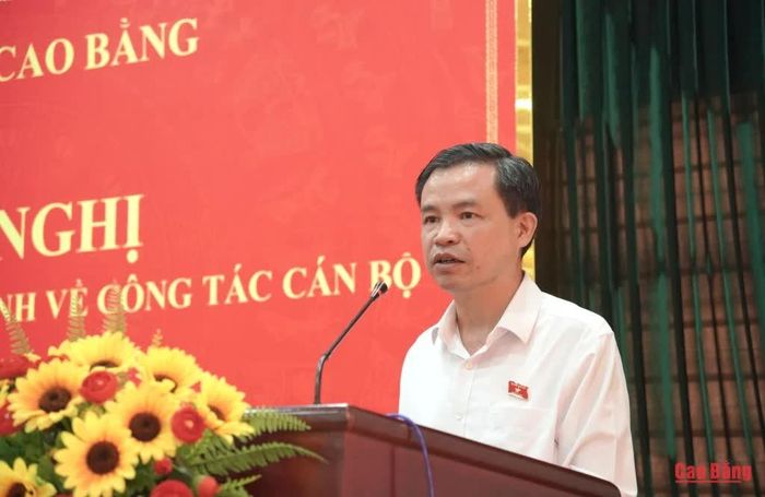 Phó Bí thư Thường trực Tỉnh ủy, Trưởng Đoàn đại biểu Quốc hội tỉnh Bế Thanh Tịnh phát biểu tại hội nghị.