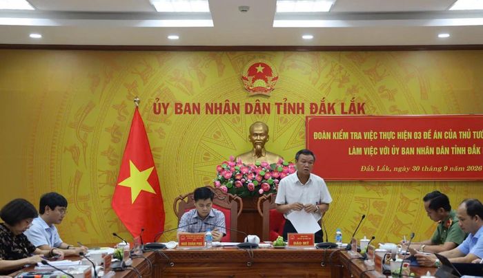 Phó Chủ tịch UBND tỉnh Đào Mỹ phát biểu tại buổi làm việc. 