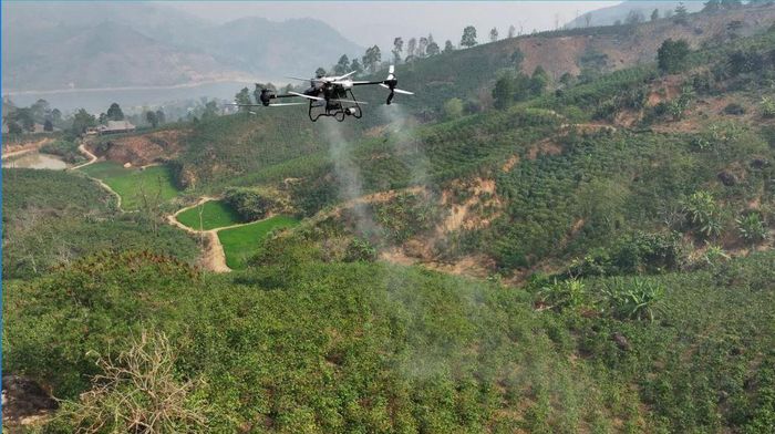 Phun thuốc bằng UAV thử nghiệm tại xã Mường Ảng, tỉnh Điện Biên. (Ảnh: Sở KH&CN Điện Biên)