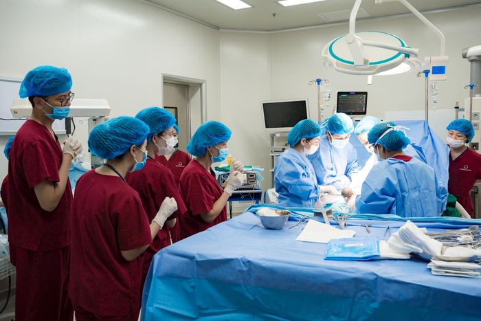 Các bác sĩ Bệnh viện Đại học Phenikaa thực hiện mổ lấy thai với 2 bé được áp dụng kỹ thuật sinh trì hoãn. Ảnh: Bệnh viện cung cấp