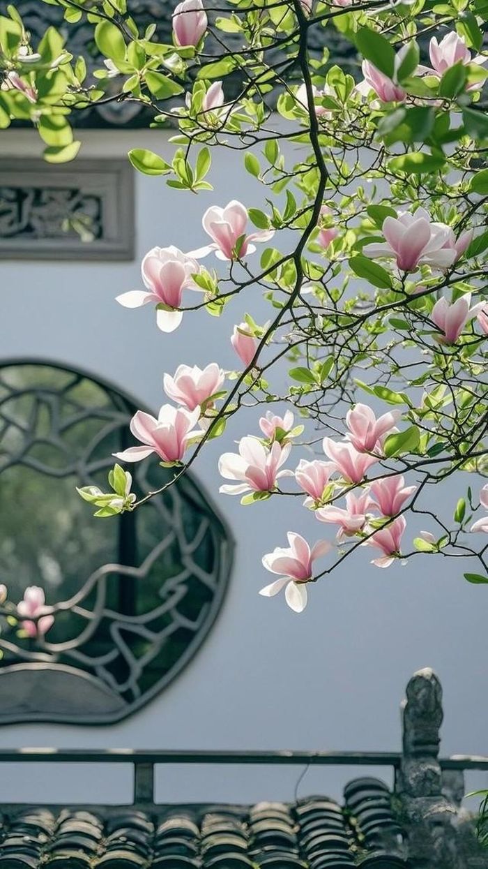 Ở tuổi trung niên, vận mệnh của những đứa trẻ sinh vào ngày 15 Âm lịch tỏa sáng, muốn quyền có quyền, muốn tiền không thiếu. Ảnh minh họa