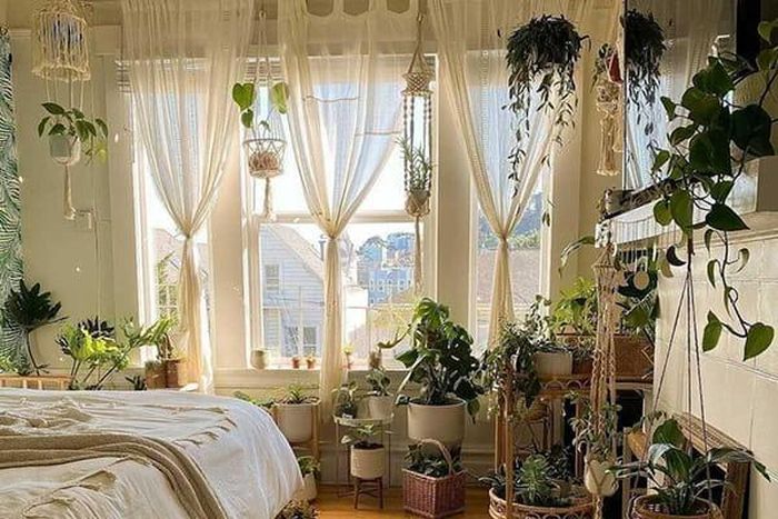 Trang trí cửa sổ bằng cây xanh không chỉ tạo điểm nhấn thẩm mỹ mà còn mang lại cảm giác gần gũi với thiên nhiên.