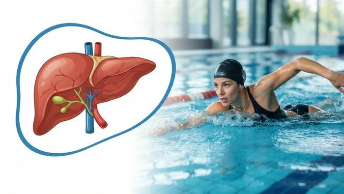 Mục tiêu của tập luyện không phải là làm gan đào thải độc tố, mà là tác động tích cực đến các yếu tố chuyển hóa có liên quan đến sức khỏe gan.