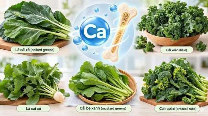 Một số loại rau lá xanh phổ biến cũng cung cấp lượng canxi đáng kể giúp xương chắc khỏe.