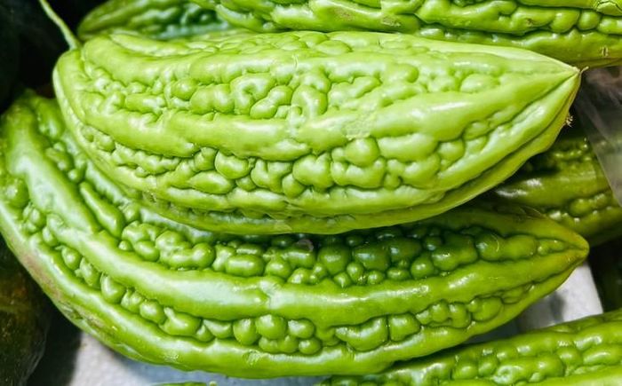 Mướp đắng khi dùng sống có vị đắng, tính lạnh, có tác dụng thanh nhiệt giải thử, giải độc, tiêu thũng... Ảnh PV