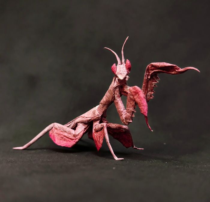 Huy tự mày mò nhiều mẫu Origami mới.