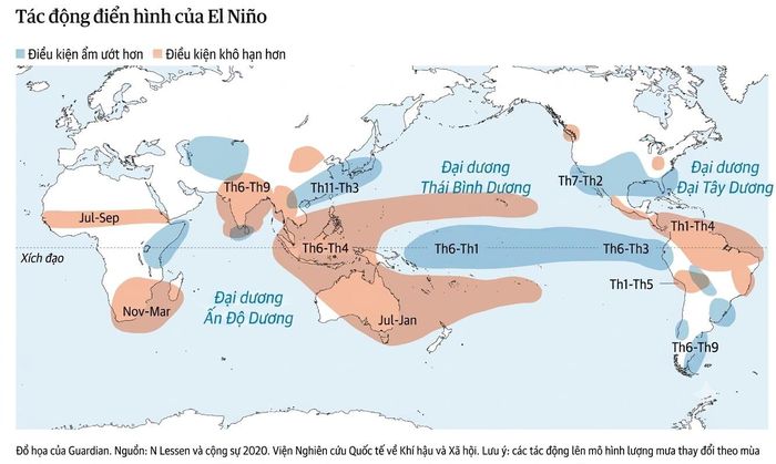  Các tác động điển hình của El Nino. Đồ họa: Guardian. Chuyển ngữ: Anh Tuấn. 