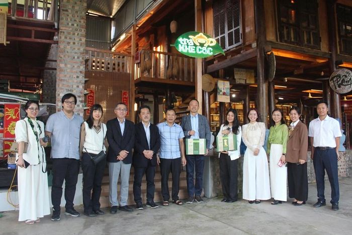 Du khách đến tham quan vùng chè