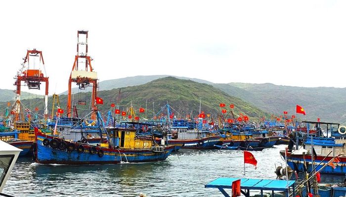 Tỉnh Gia Lai đang từng bước giảm số tàu không còn phù hợp với yêu cầu khai thác, đồng thời hỗ trợ ngư dân chuyển đổi nghề