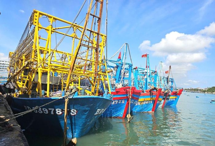 Toàn tỉnh Gia Lai có hơn 3.400 tàu cá có chiều dài từ 15m trở lên được cài đặt nhật ký khai thác điện tử