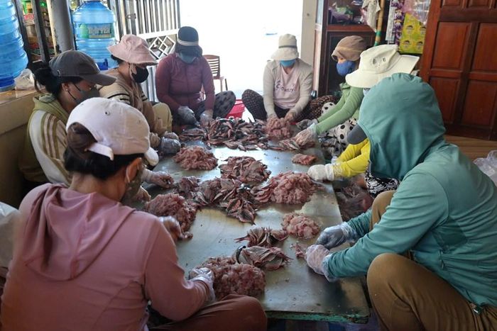Nghề làm chả cá đang tạo thêm việc làm và nguồn thu cho nhiều hộ dân trên đảo Lý Sơn