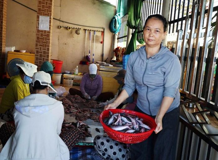 Cá tươi được lựa chọn kĩ trước khi đưa vào chế biến chả cá Lý Sơn