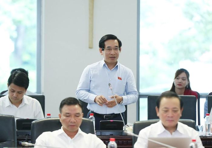 Đại biểu Nguyễn Văn Cảnh phát biểu