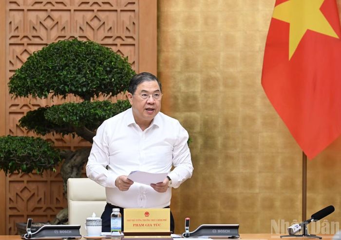 Phó Thủ tướng Thường trực Phạm Gia Túc phát biểu tại phiên họp.