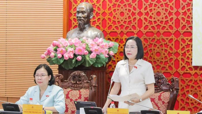 Phó Chủ tịch Quốc hội Nguyễn Thị Thanh phát biểu tại phiên họp. (Ảnh: CTV)