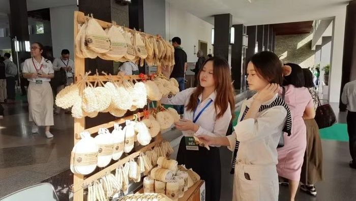 Khách tham quan các sản phẩm xanh. (Ảnh: CAO TÂN)