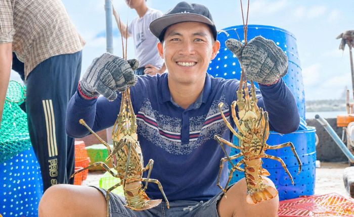  Người dân ở vịnh Xuân Đài (Đắk Lắk) đang thu hoạch tôm hùm. Ảnh: NGỌC OAI 