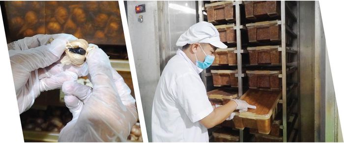  Trong khu sản xuất khép kín, ứng dụng công nghệ hiện đại từ Nhật Bản để sản xuất tỏi xanh Phú Sinh, đảo Lý Sơn. Ảnh: NGỌC OAI 