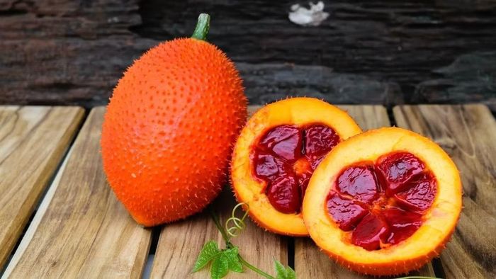 Gấc khác biệt so với nhiều loại quả trong nhóm nhờ phần màng đỏ bao quanh hạt chứa nhiều carotenoid, trong đó có beta-carotene và lycopene. Gấc thường được dùng để tạo màu và bổ sung dưỡng chất cho xôi gấc, cơm gấc hoặc một số món ăn truyền thống. Do phần thịt gấc thường được sử dụng với lượng vừa phải, có thể kết hợp cùng các nguyên liệu khác để tạo nên món ăn đa dạng. Ảnh: Điện máy XANH