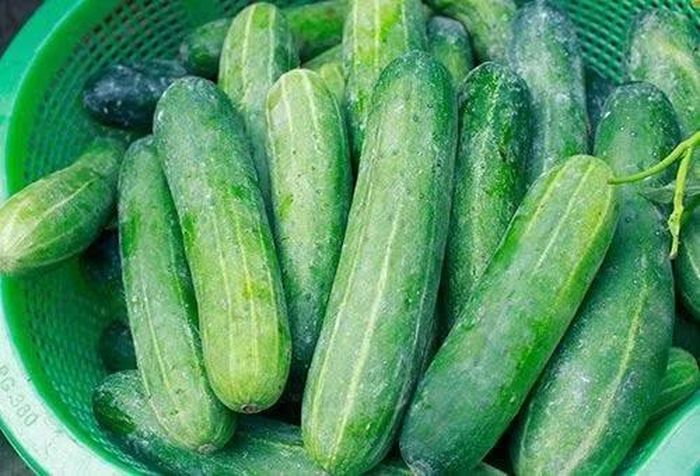 Dưa chuột có hàm lượng nước cao, cung cấp vitamin K, vitamin C và một lượng chất xơ, đặc biệt khi ăn cả phần vỏ đã được làm sạch. Đây là loại quả có thể ăn trực tiếp hoặc dùng trong nhiều món như salad dưa chuột, nộm dưa chuột, dưa chuột trộn chua ngọt hay ăn kèm các món thịt. Kết hợp dưa chuột với trứng, thịt hoặc cá giúp bữa ăn cân bằng hơn. Ảnh: Điện máy XANH