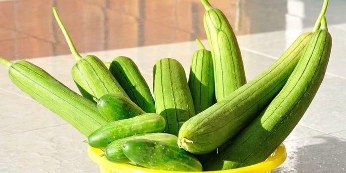 Mướp hương chứa nước, vitamin C, một số vitamin nhóm B cùng chất xơ, đồng thời có mùi thơm tự nhiên khi nấu chín. Món mướp nấu canh với tôm hoặc mướp xào lòng gà là những cách chế biến quen thuộc. Mướp cũng có thể nấu cùng nấm hoặc thịt băm để tăng thêm nguồn đạm và chất dinh dưỡng cho bữa ăn. Ảnh: Bách hoá XANH