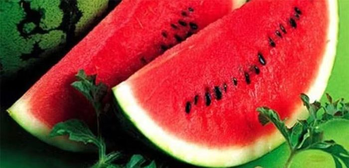 Dưa hấu chứa nhiều nước, vitamin C, một số vitamin A dưới dạng carotenoid và lycopene – hợp chất tạo nên màu đỏ đặc trưng của phần thịt quả. Dưa hấu thường được ăn trực tiếp sau khi làm lạnh, hoặc dùng làm salad trái cây, sinh tố. Tuy nhiên, vì có đường tự nhiên nên vẫn nên ăn với khẩu phần phù hợp thay vì sử dụng quá nhiều trong một lần. Ảnh: Điện máy XANH