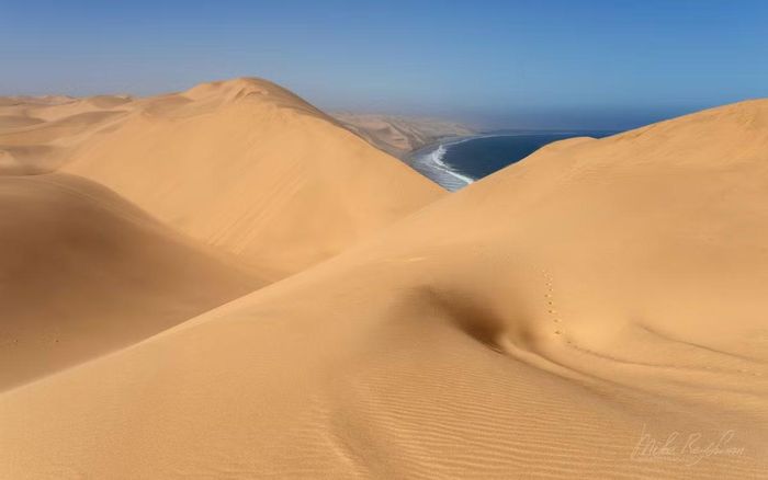 Ảnh: mikereyfman