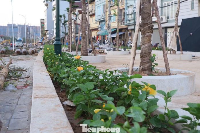 Hai bên tuyến được trồng mới cây xanh và bố trí các hạng mục cảnh quan. Đơn vị thi công cho biết các hạng mục dự kiến hoàn tất trong khoảng một tuần tới.