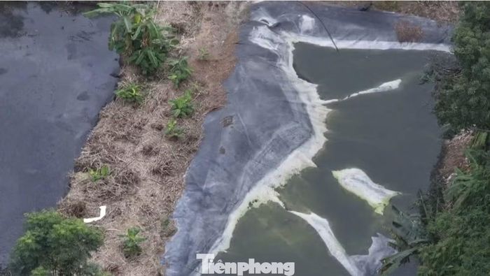 Một hồ xử lý chất thải tại trại heo Măng Đen.