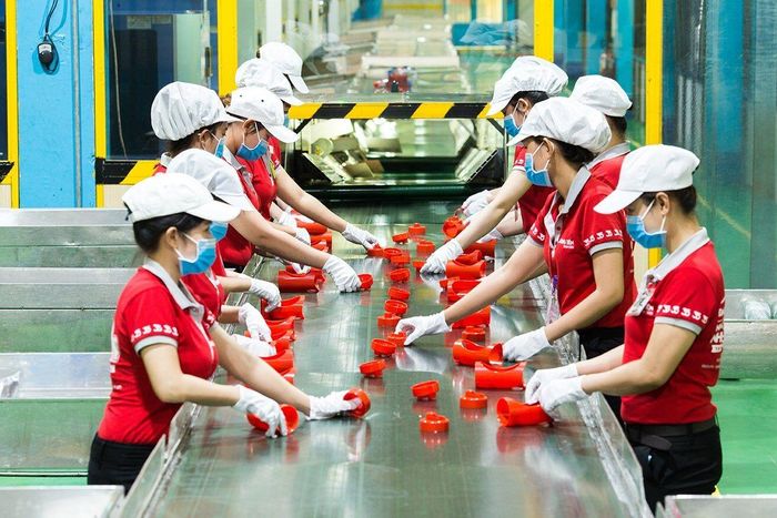 Trước khi lựa chọn thị trường, doanh nghiệp cần tìm hiểu quy tắc xuất xứ của FTA áp dụng. (Ảnh minh họa)