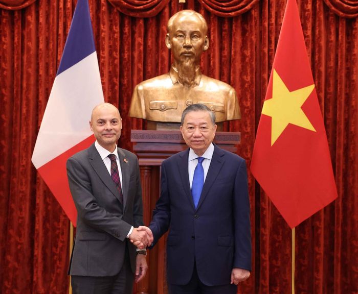 Tổng Bí thư, Chủ tịch nước Tô Lâm tiếp Đại sứ Pháp Didier Le Bret. Ảnh: TTXVN