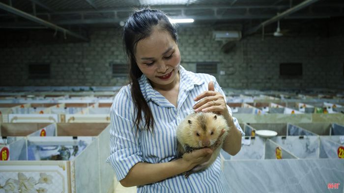 Chăm đàn dúi không thể chỉ dựa vào lượng thức ăn đưa vào mỗi ngày. Cách ăn, mức độ hoạt động hay tốc độ lớn của từng con đều là những dấu hiệu giúp tôi theo dõi sức khỏe và có cách chăm sóc phù hợp.