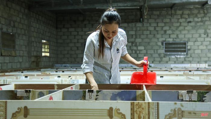 Mỗi ngày, tôi bắt đầu công việc bằng việc kiểm tra khu nuôi, xem lượng thức ăn và tình trạng của từng nhóm dúi. Sau đó, tôi vệ sinh các ô chuồng, kiểm tra đàn sinh sản và xử lý ngay những vấn đề phát sinh trong quá trình chăm sóc.