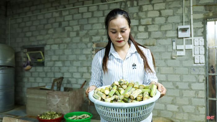 Những kiến thức ban đầu giúp tôi có cơ sở bắt tay vào nuôi. Trong quá trình gây đàn, tôi dần nhận ra việc nuôi dúi đòi hỏi sự kiên trì và cẩn thận, từ khâu làm chuồng, lựa chọn con giống đến bố trí điều kiện nuôi phù hợp.