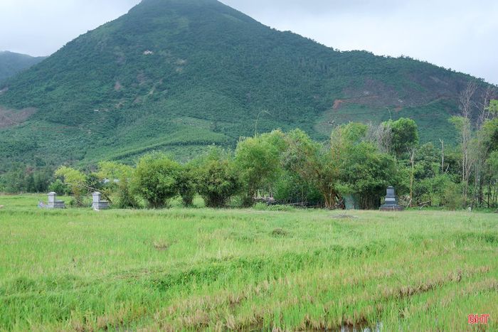 Nhiều ngôi mộ nằm rải rác trên các cánh đồng ở xã Kỳ Khang.