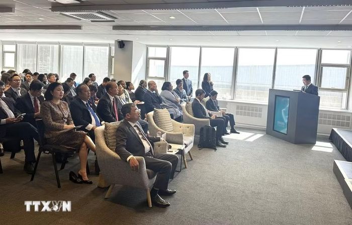 Phó Chủ tịch Quốc hội Nguyễn Hồng Diên phát biểu tại Diễn đàn Doanh nghiệp Việt Nam-Nam Phi. (Ảnh: Đặng Huyền/TTXVN)