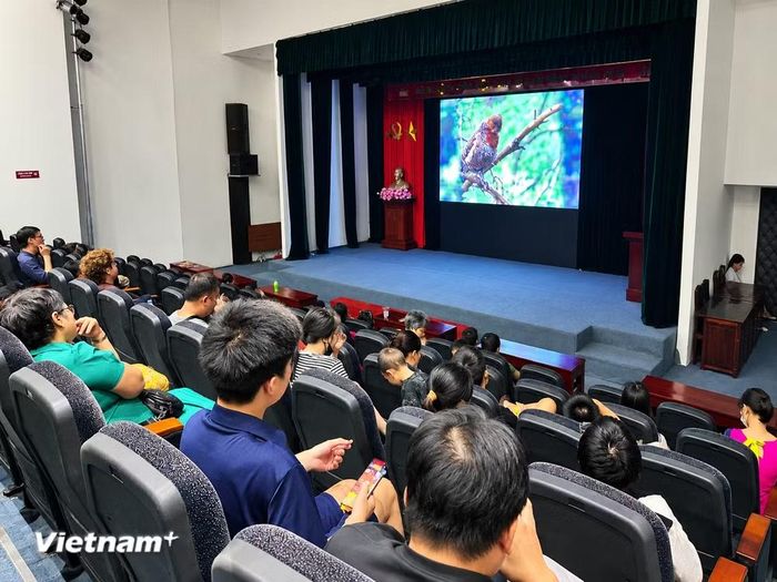 Tại lễ hội, du khách có thể khám phá văn hóa các nước thông qua các phim điện ảnh, tài liệu, hoạt hình vào lúc 10 giờ, 13 giờ, 15 giờ và 19 giờ 30 hằng ngày. (Ảnh: Minh Anh/Vietnam+)
