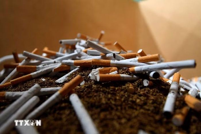 Tang vật một vụ bắt giữ thuốc lá. (Ảnh: AFP/TTXVN)
