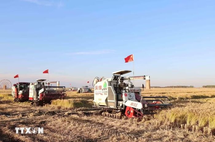 Máy thu hoạch lúa hoàn toàn tự động trên các cánh đồng tại Hắc Long Giang (Trung Quốc). (Ảnh: Quang Hưng/TTXVN)