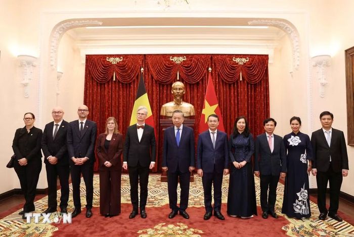 Tổng Bí thư, Chủ tịch nước Tô Lâm tiếp Đại sứ Vương quốc Bỉ Pieter Leenknegt. (Ảnh: Thống Nhất/TTXVN)