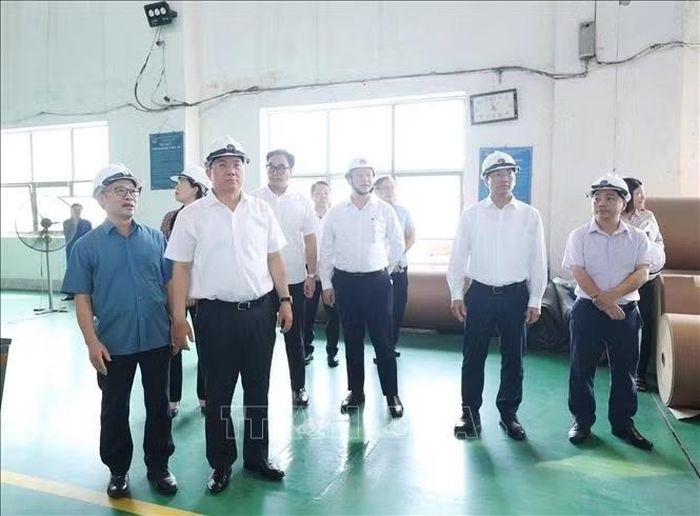 Chủ tịch UBND tỉnh Phú Thọ Trần Duy Đông cùng lãnh đạo các sở, ban, ngành khảo sát thực tế tại Nhà máy Giấy Việt Trì thuộc Công ty Cổ phần Giấy Việt Trì. Ảnh: Thu Hương/TTXVN
