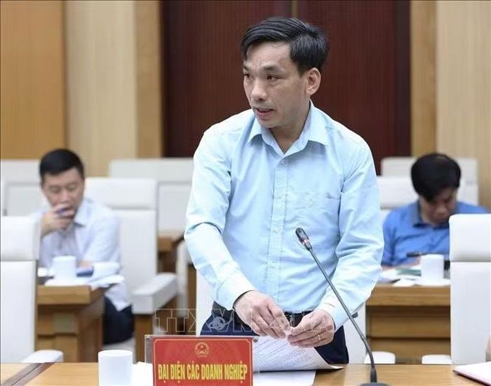 Đại diện doanh nghiệp phát biểu tại hội nghị. Ảnh: Thu Hương/TTXVN