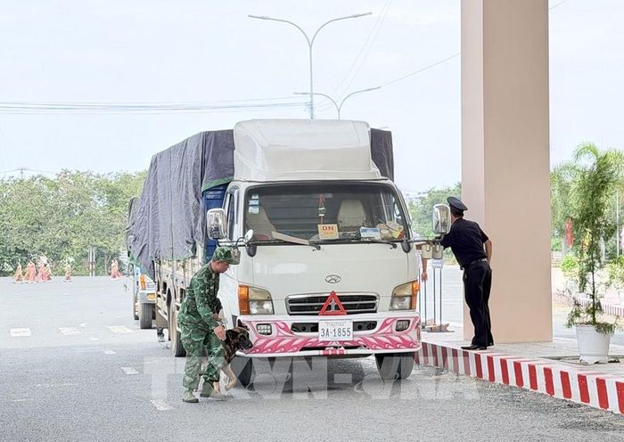 Phương tiện làm thủ tục nhập cảnh vào Việt Nam qua Cửa khẩu Quốc tế đường bộ Khánh Bình, tỉnh An Giang. Ảnh: Thanh Sang - TTXVN