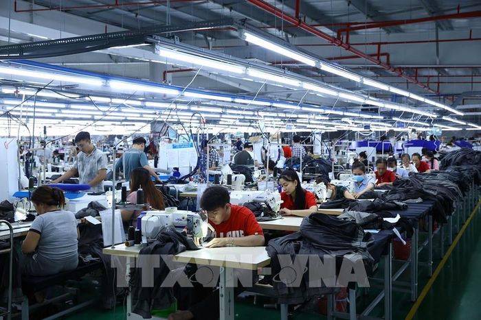 Sản xuất hàng may mặc xuất khẩu tại Công ty STX Việt Nam (Nhật Bản) tại KCN Tân Kim (Tây Ninh). Ảnh: Huy Hùng - TTXVN