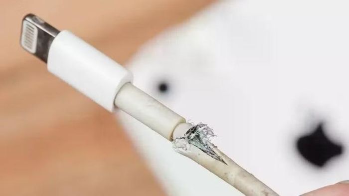 Phần dây dẫn và lớp chắn kim loại bên trong bị lộ ra là dấu hiệu hư hỏng nghiêm trọng và không nên tiếp tục sử dụng
